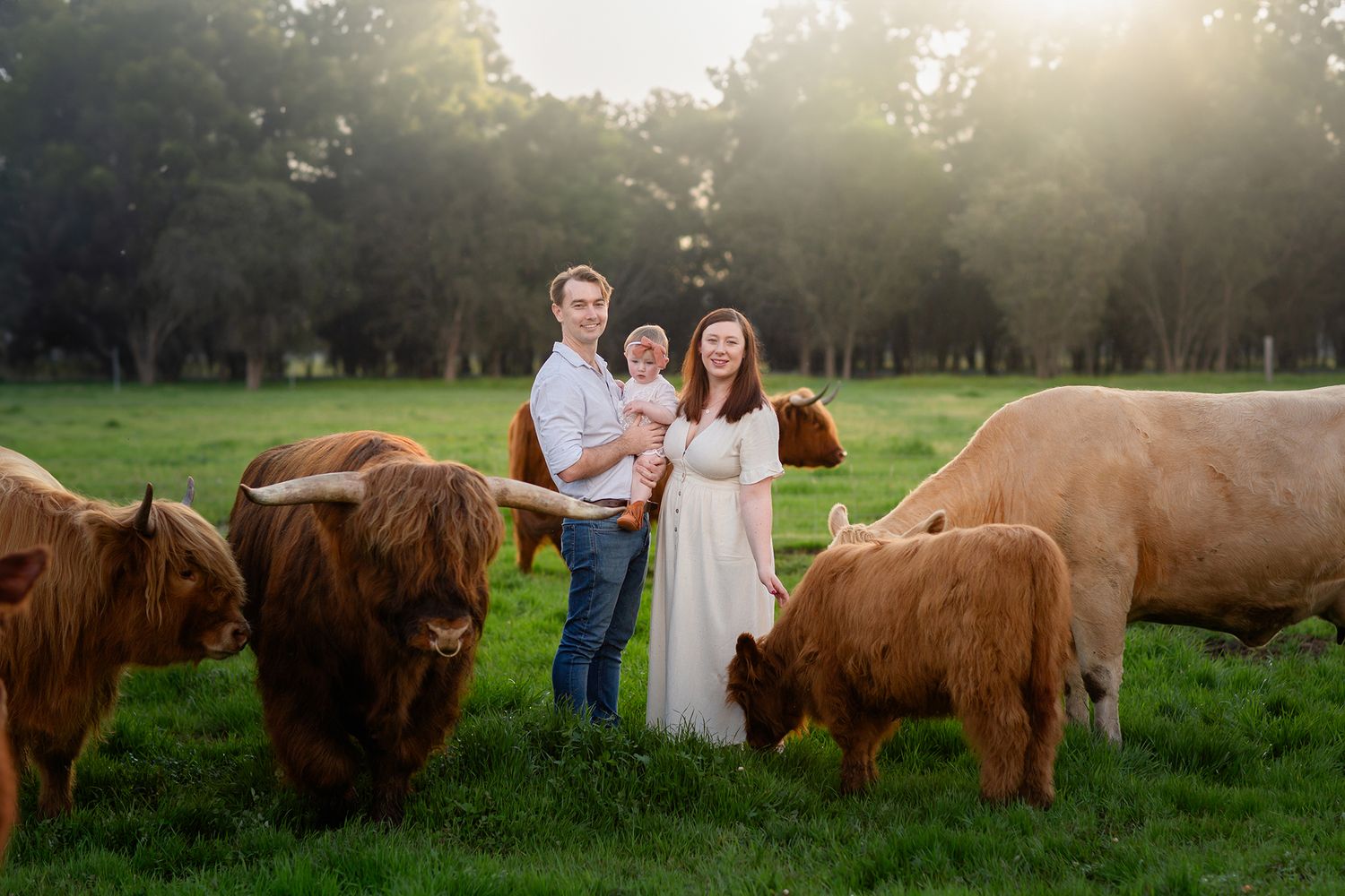 Family standing with four cows in paddock during photo session in Perth