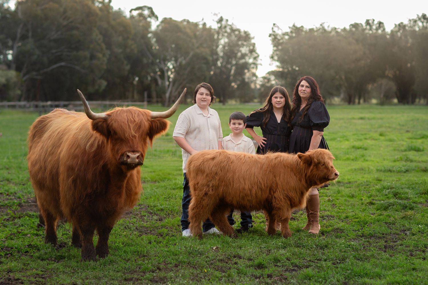 Family posing with Highland Cows during photo session in Perth