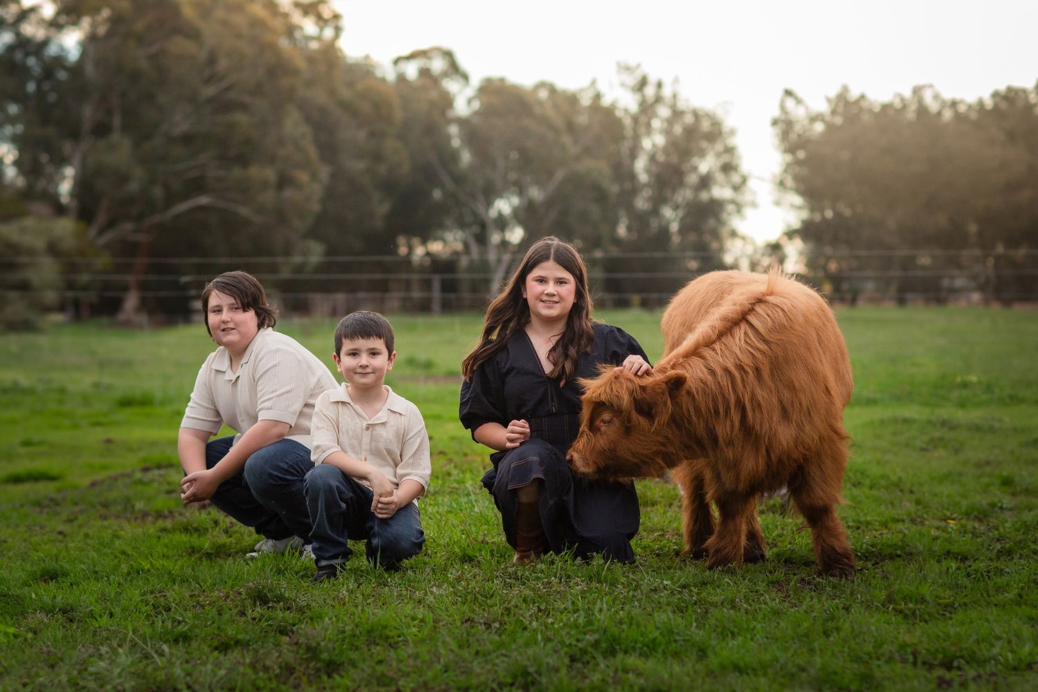 Children posing with Highland Cows during photo session in Perth