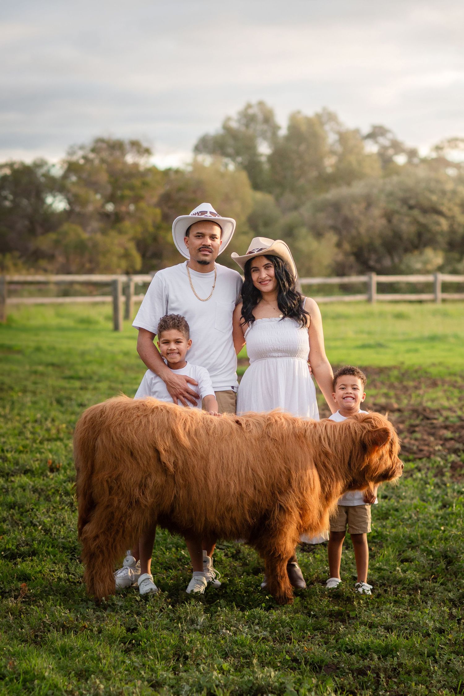 Family posing with Highland Cows during photo session in Perth
