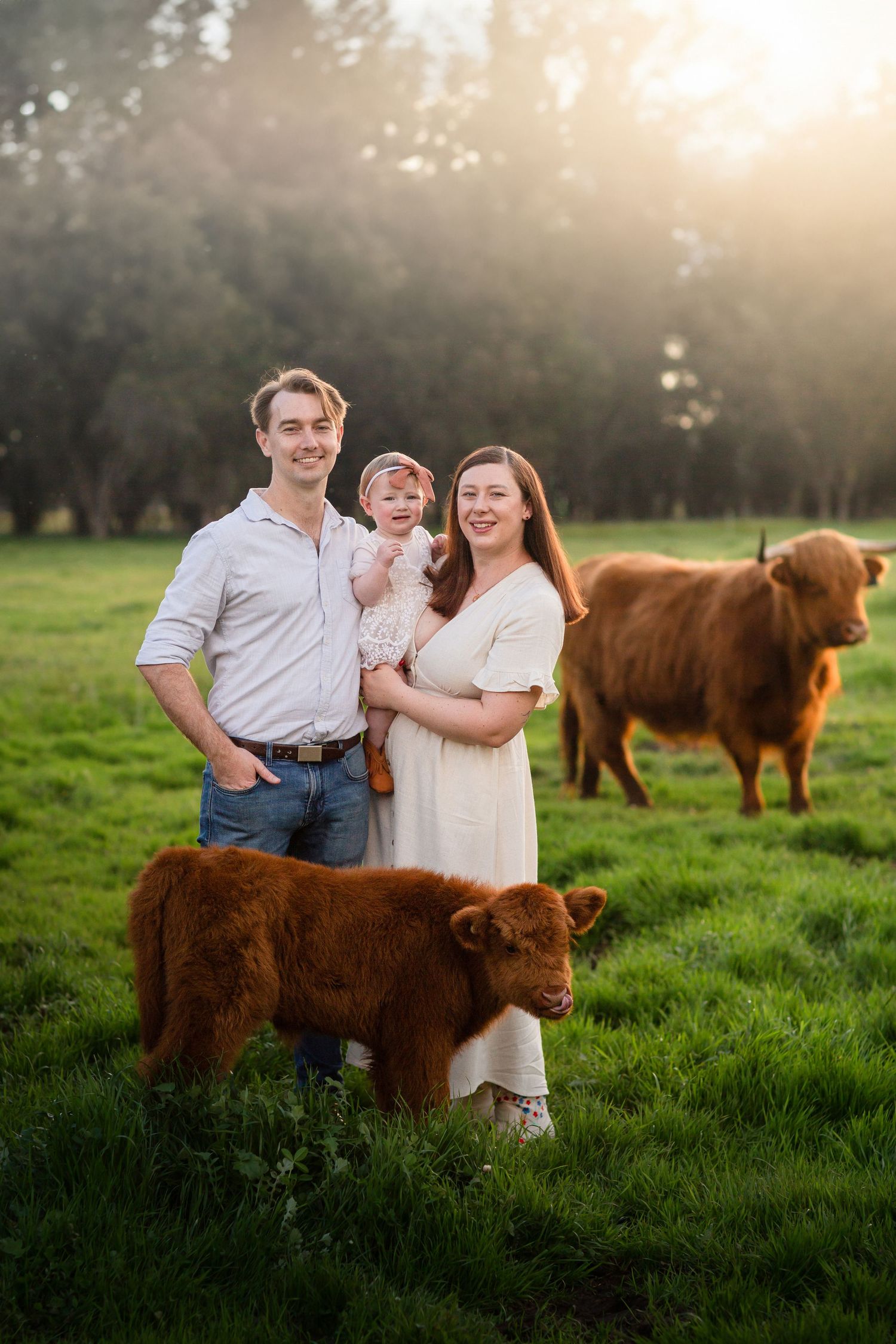 Family standing with four cows in paddock during photo session in Perth