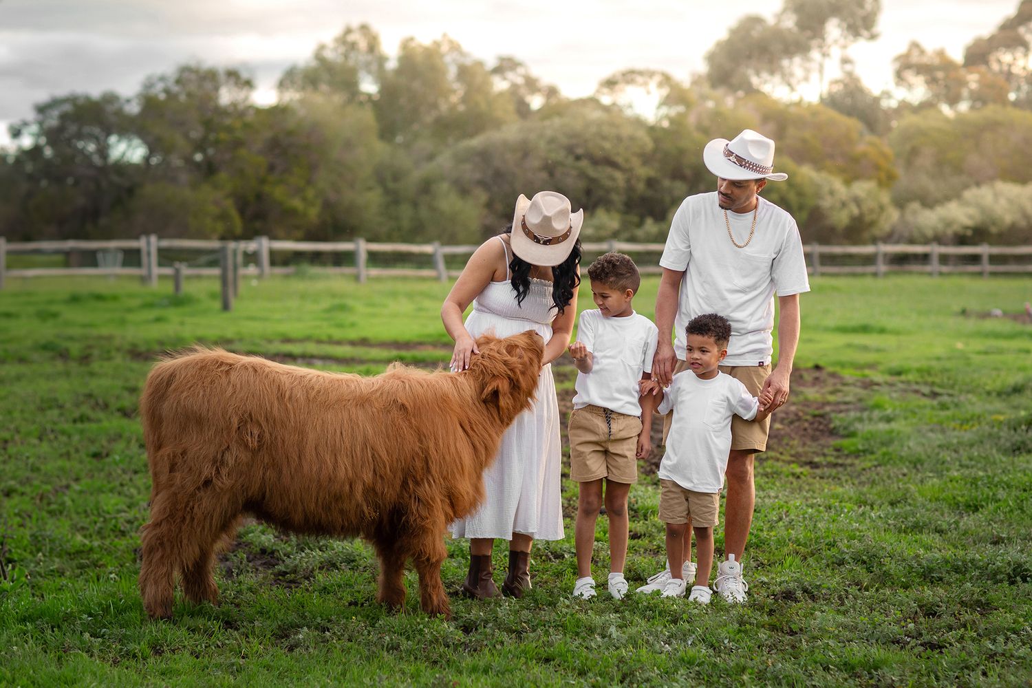 Family posing with Highland Cows during photo session in Perth