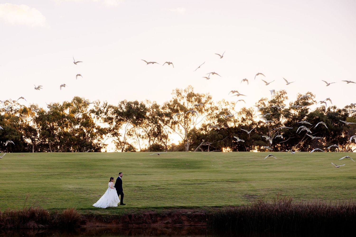 A bride and groom stand on a green field at sunset with a flock of birds flying overhead and trees in the background.