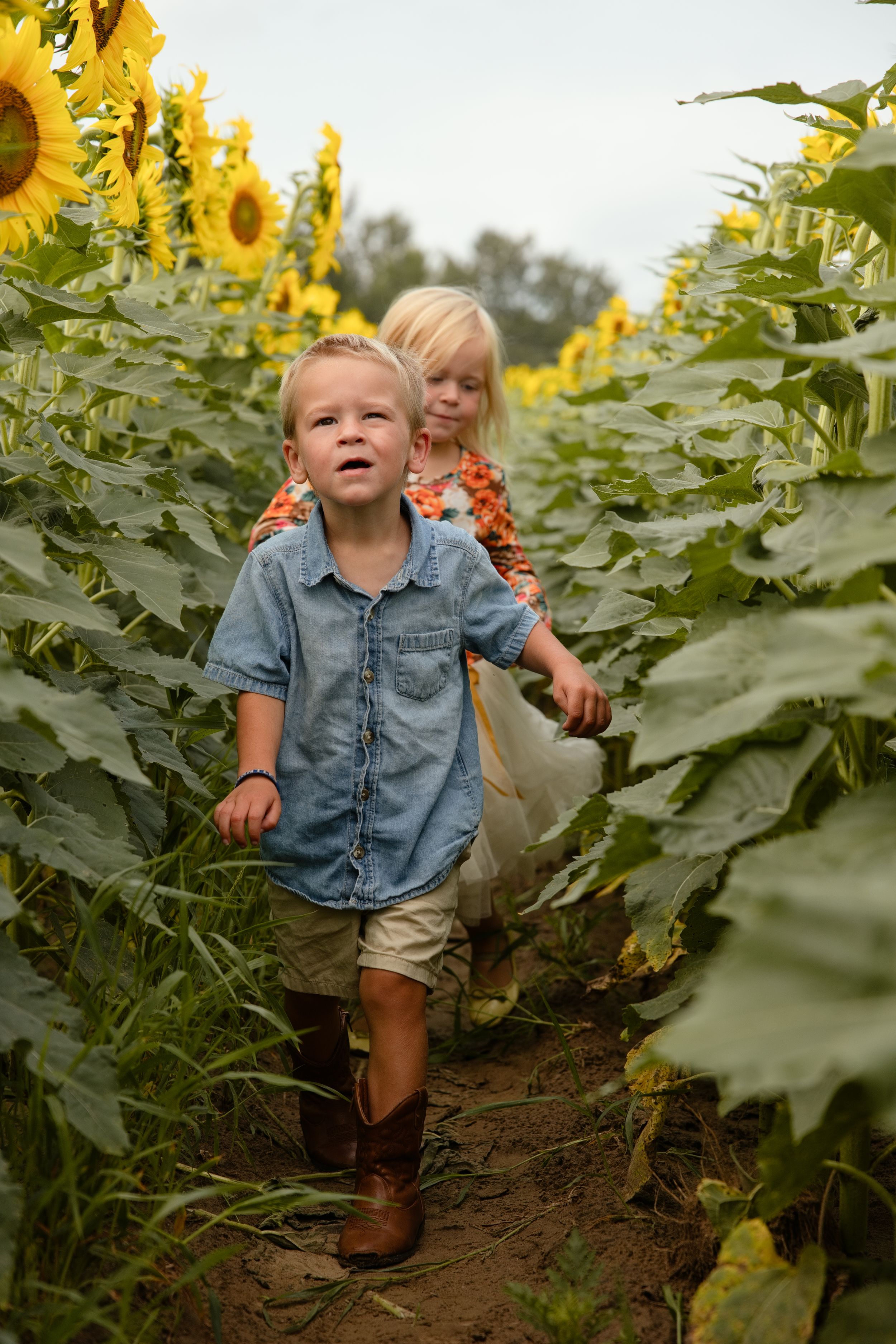 Two young children walk through a vibrant sunflower field, boy in denim shirt and cowboy boots, girl in floral dress.