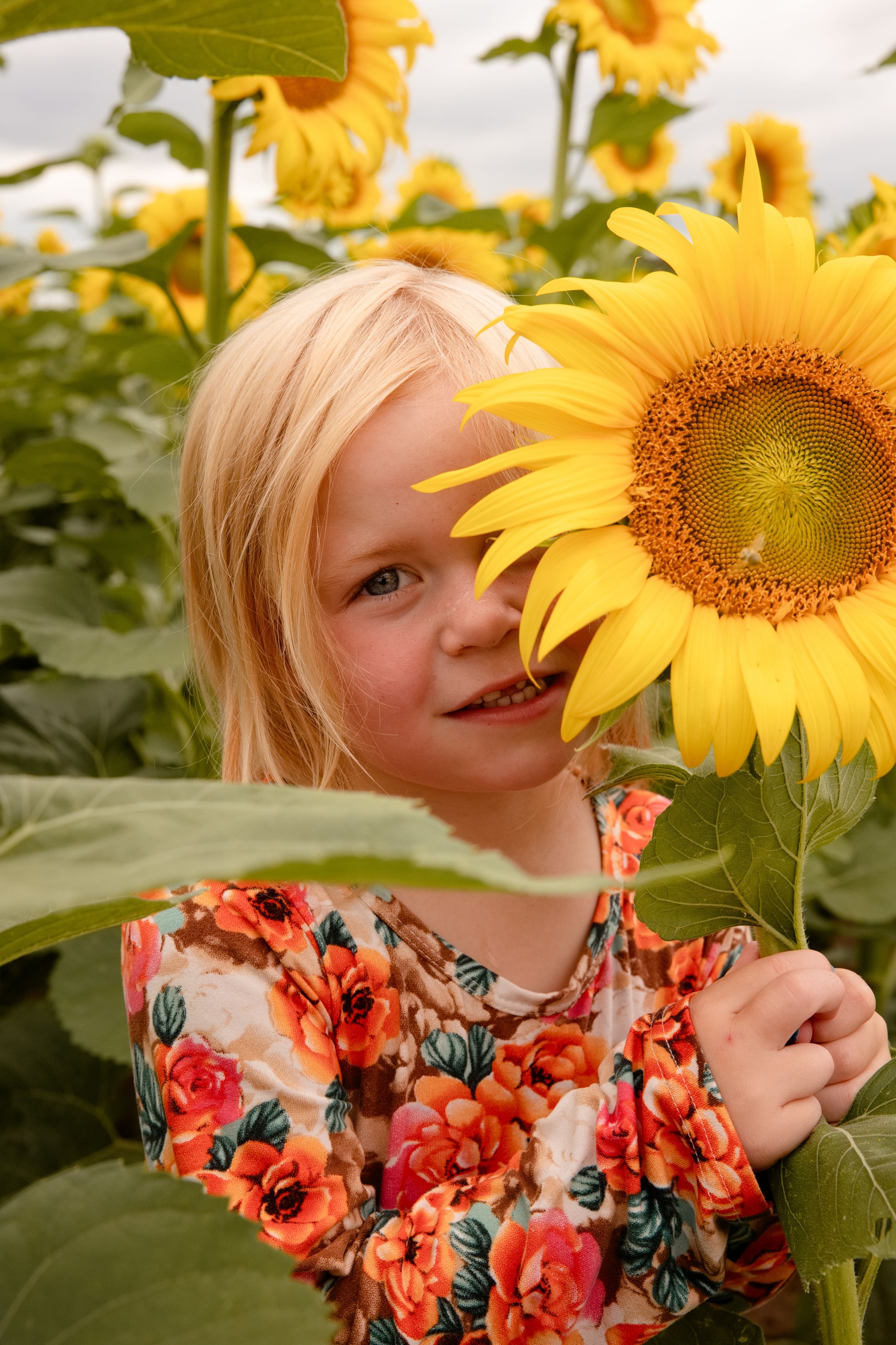 Young blonde girl in floral dress playfully holding a bright yellow sunflower over her eye in a sunflower field.