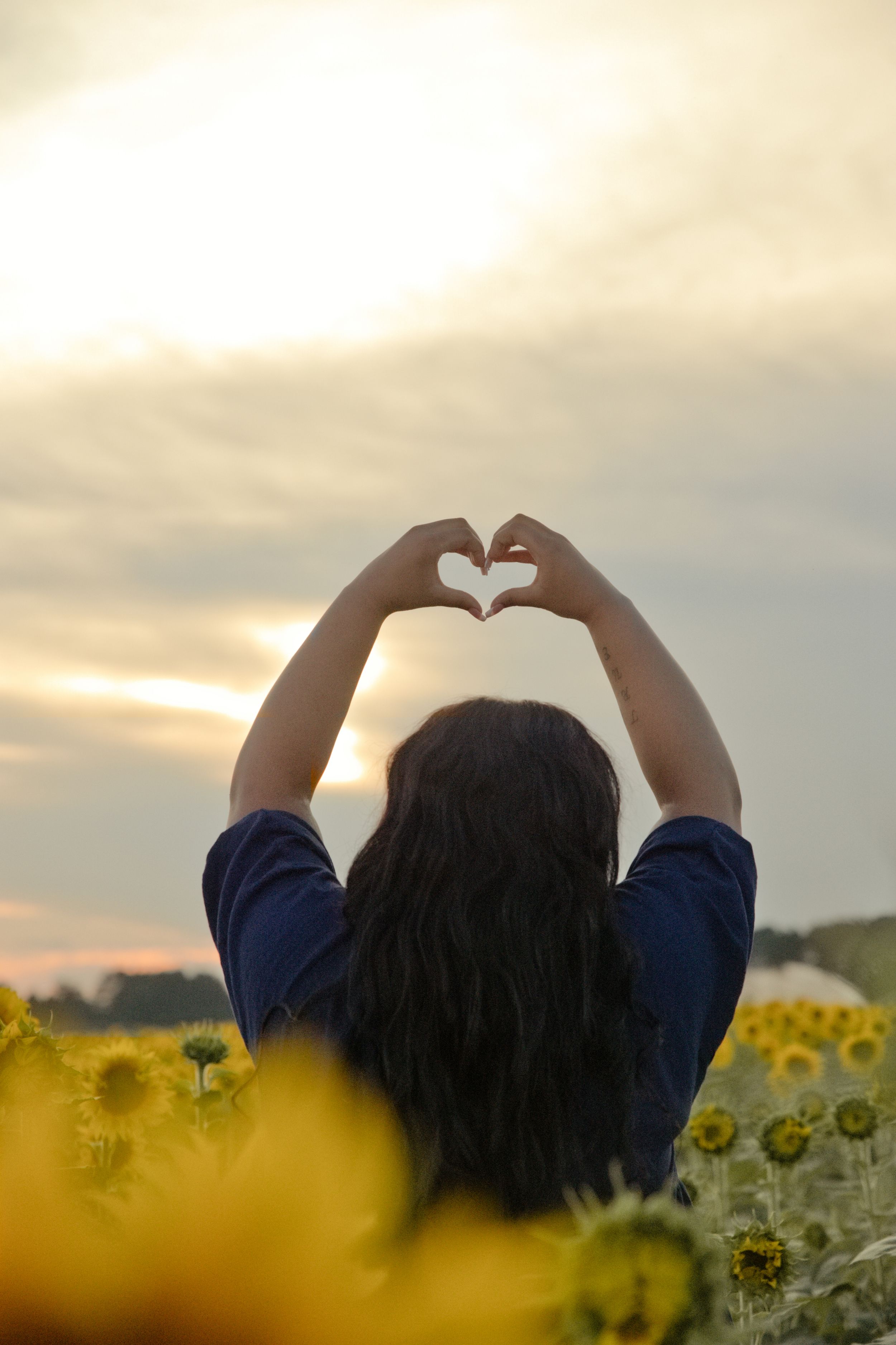 Person standing in sunflower field making heart shape with hands at sunset.