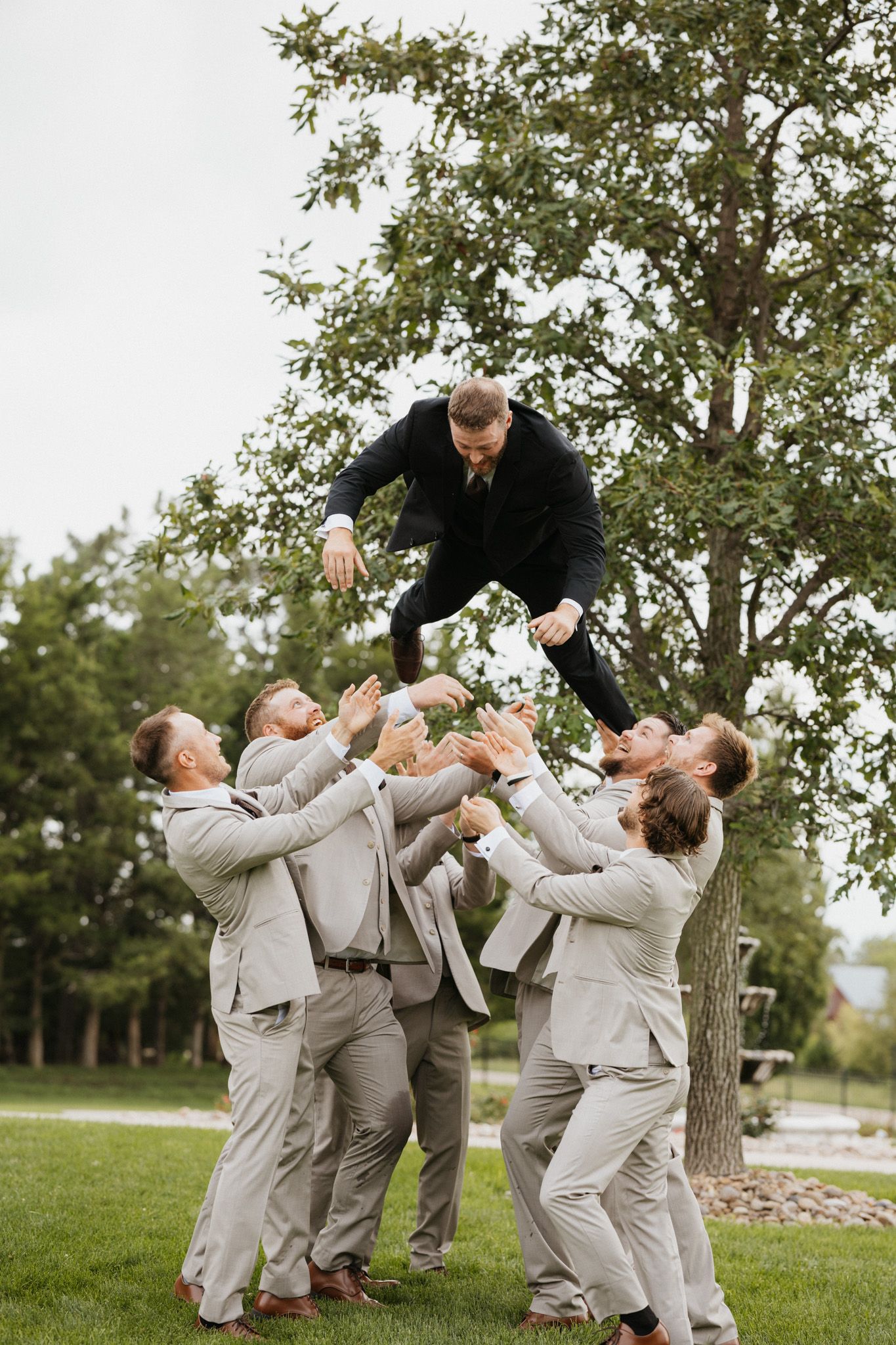 Groomsmen in tan suits tossing groom in dark suit into the air outdoors at wedding celebration.