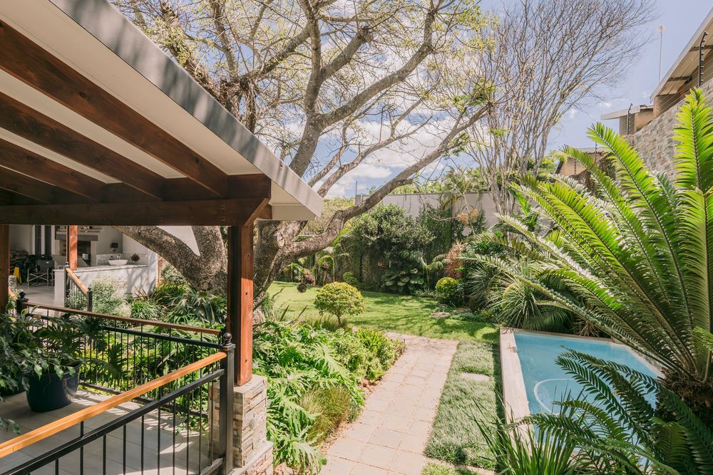 Lush garden view from a covered patio featuring a pool, tropical plants, and a large tree in a serene outdoor space.