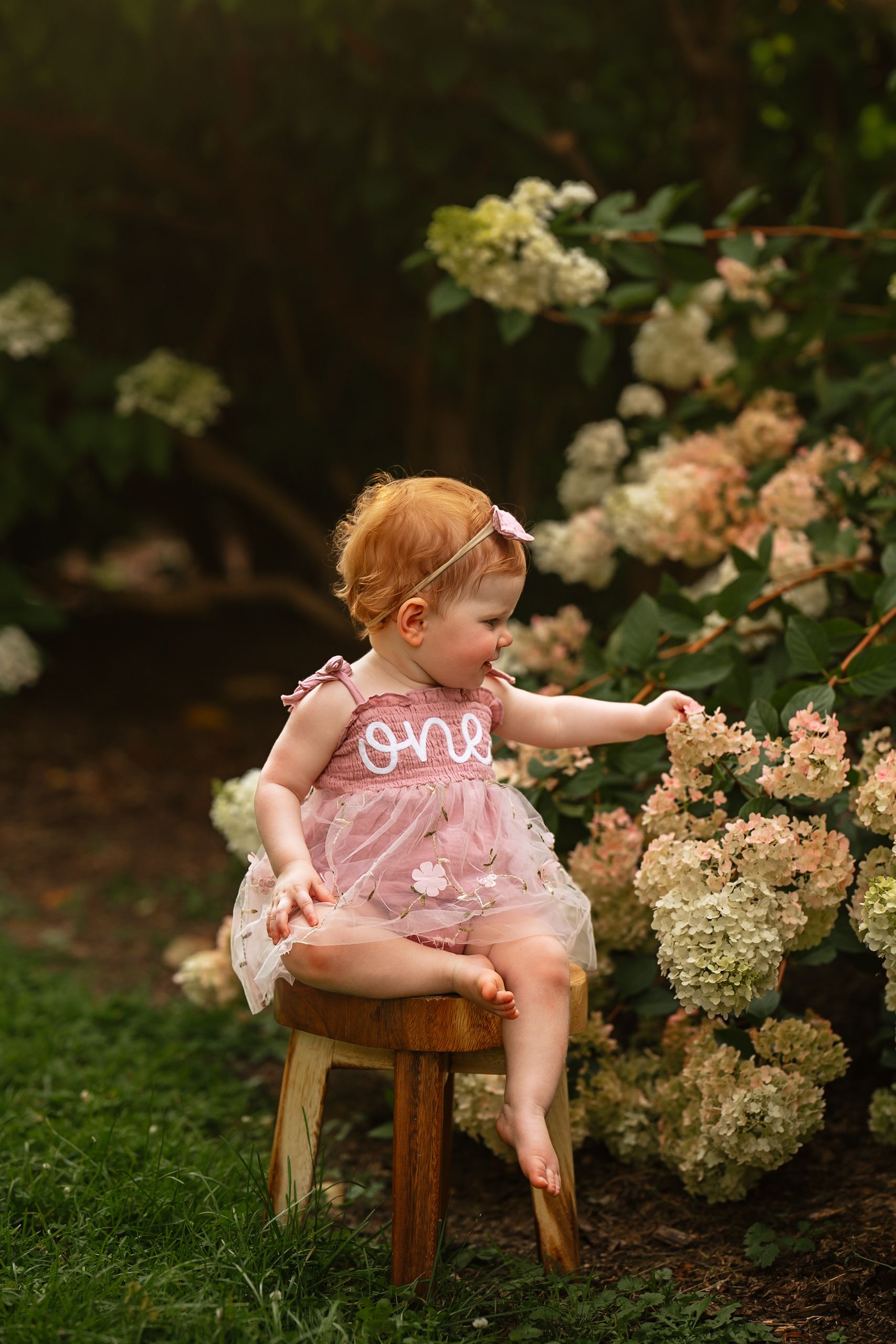 A baby girl in a pink 'one' dress sits on a stool reaching for hydrangea blooms in a garden.
