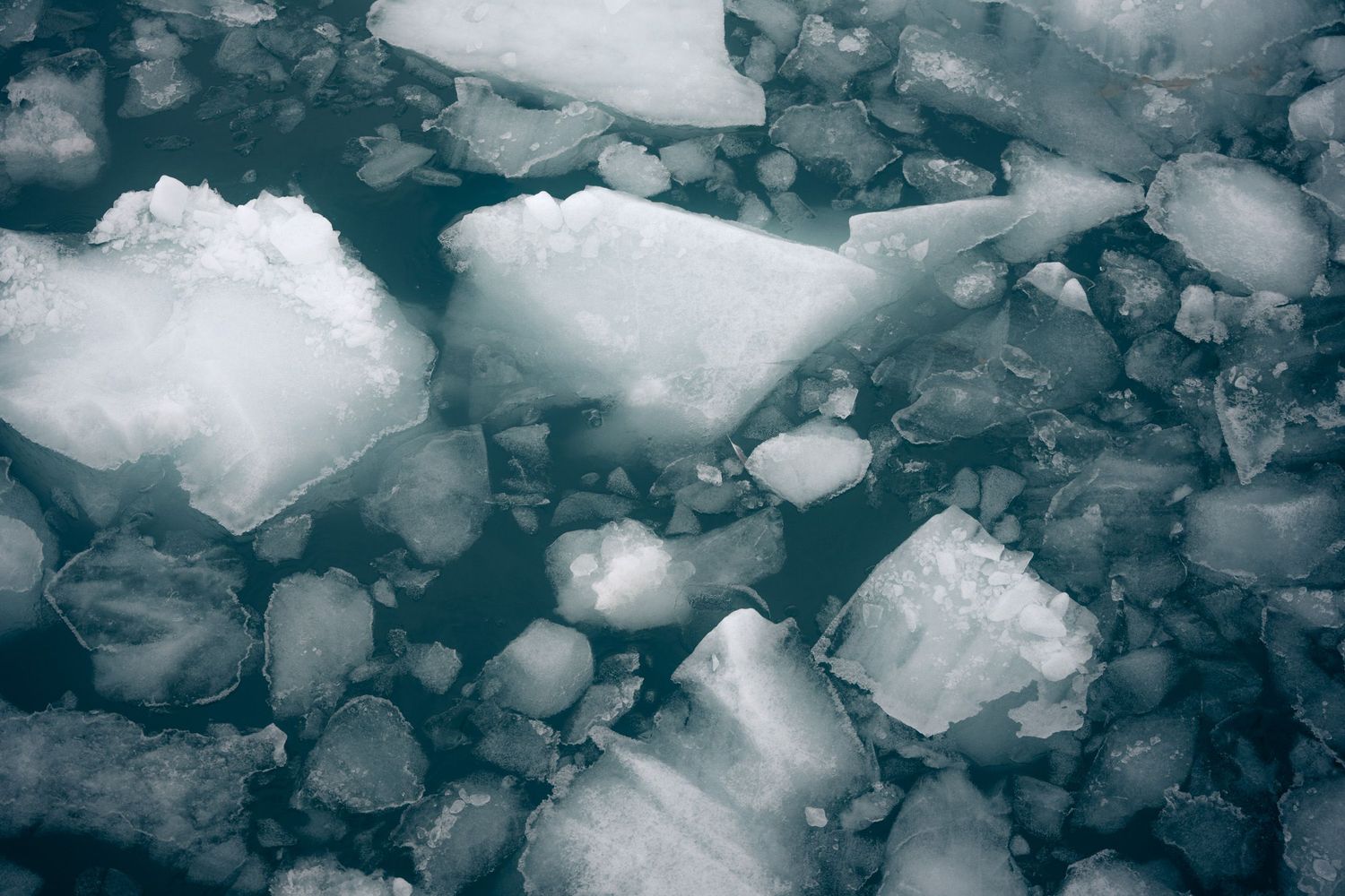 Plaques de glace anguleuses vues en plongée sur une eau vert sombre au Svalbard
