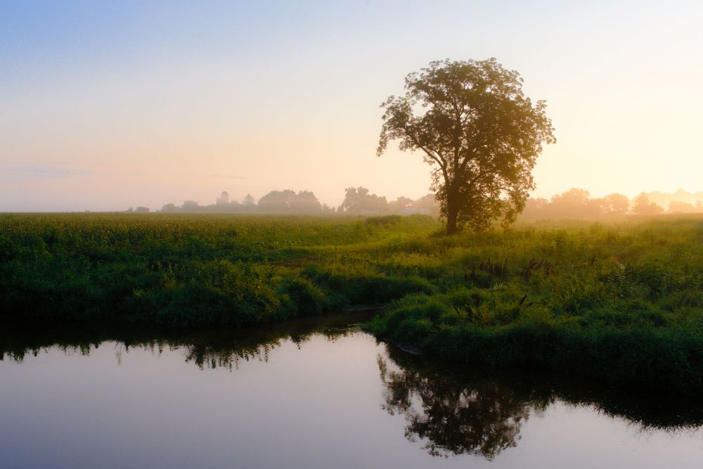 Manning.Nature and landscape photography by David J. Manning.