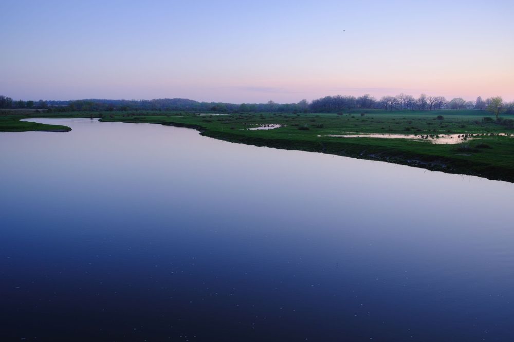 Nature and landscape photography by David J. Manning.