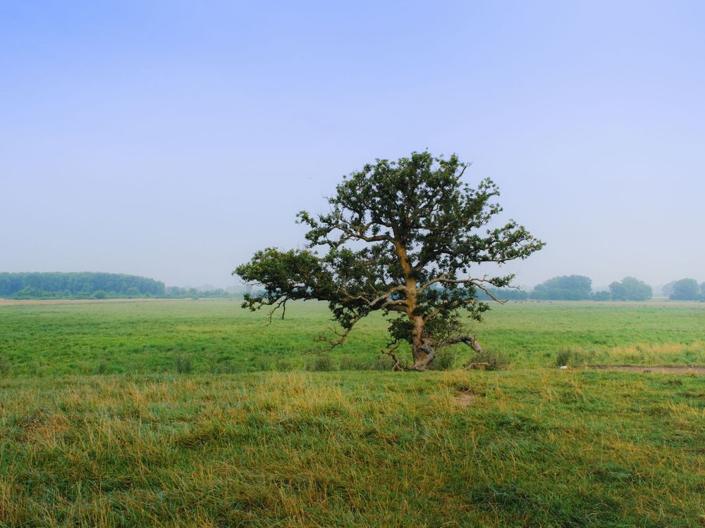 Nature and landscape photography by David J. Manning.