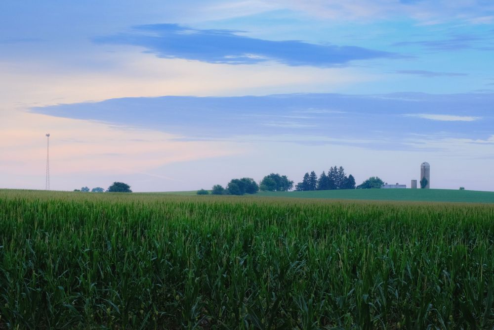 Nature and landscape photography by David J. Manning.