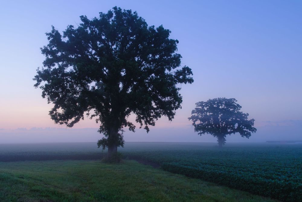 Nature and landscape photography by David J. Manning.