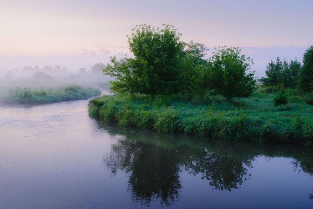 Nature and landscape photography by David J. Manning.