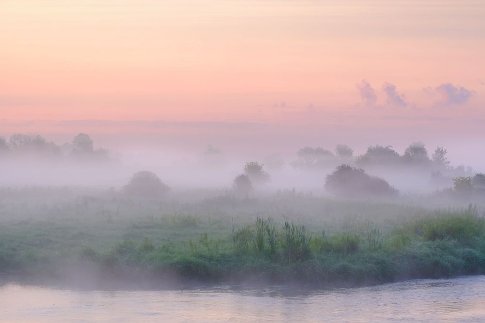 Nature and landscape photography by David J. Manning.