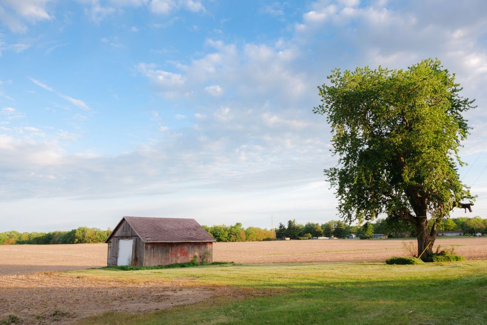 Nature and landscape photography by David J. Manning.