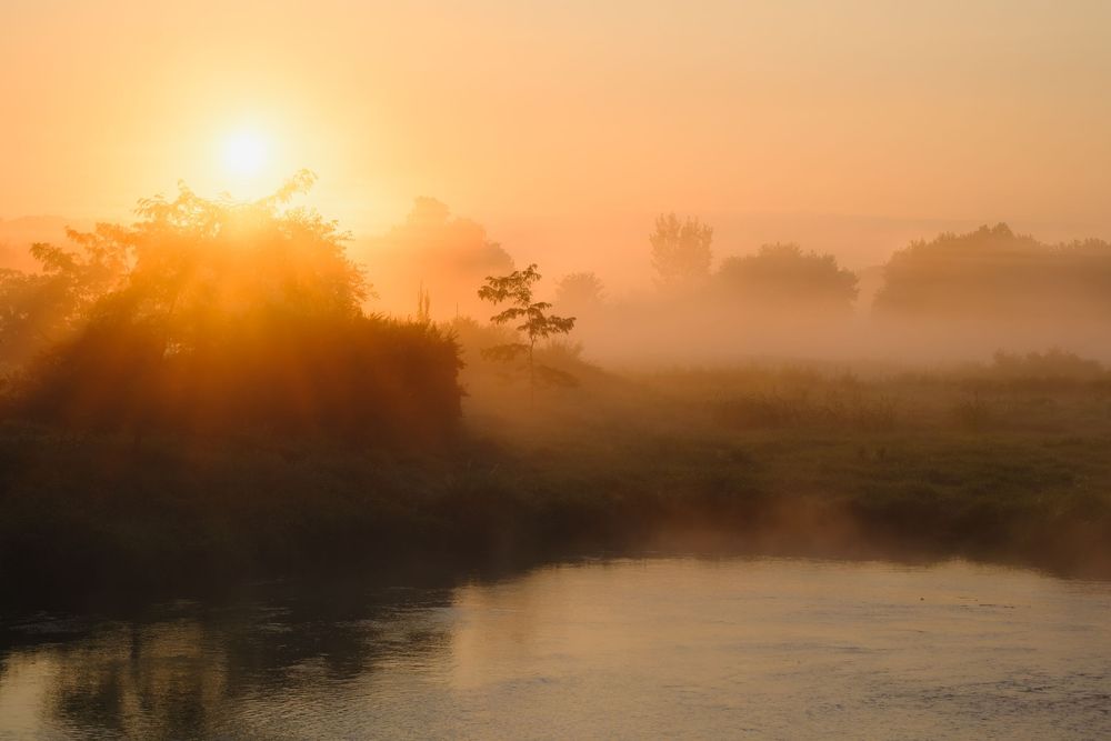 Nature and landscape photography by David J. Manning.