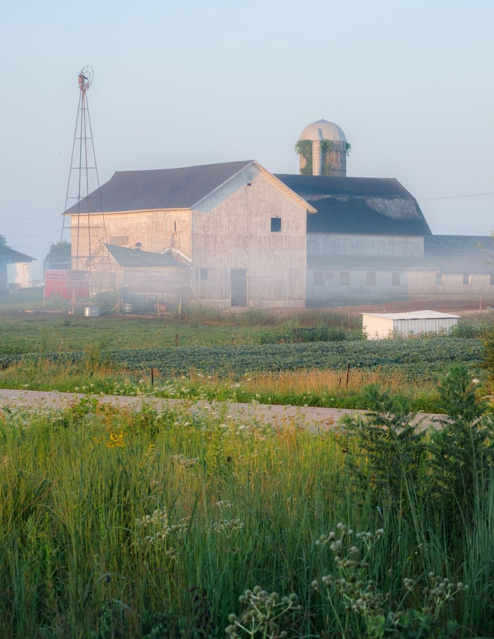 Nature and landscape photography by David J. Manning.
