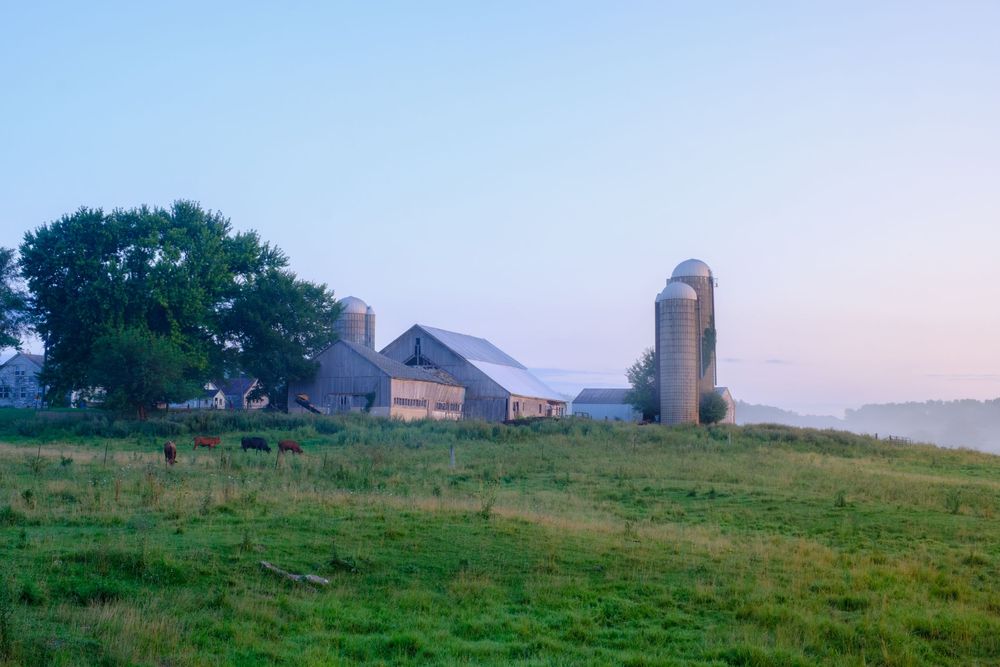 Nature and landscape photography by David J. Manning.