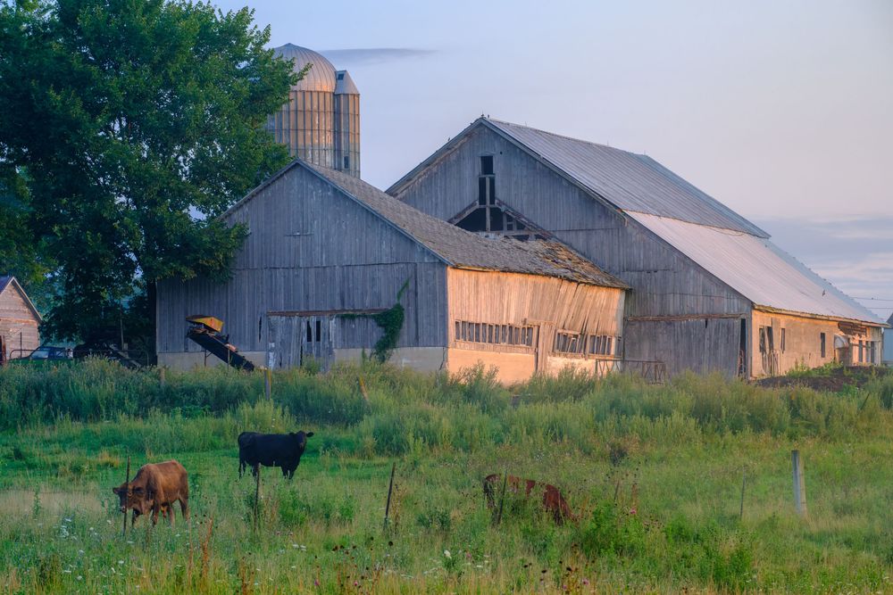 Nature and landscape photography by David J. Manning.