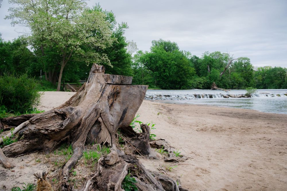 Nature and landscape photography by David J. Manning.