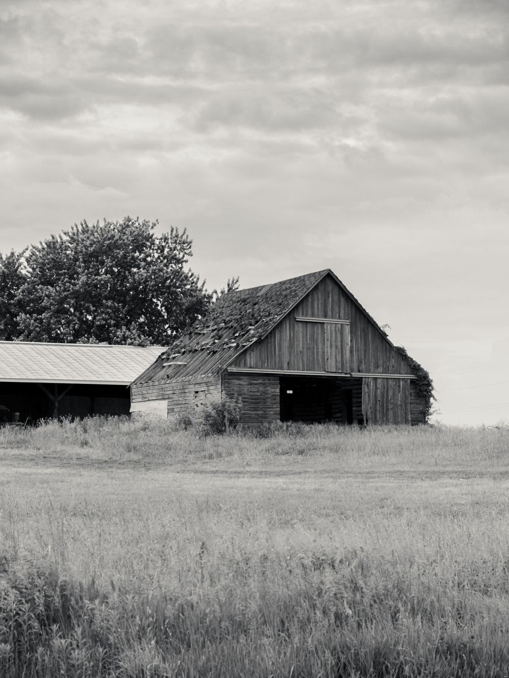 Nature and landscape photography by David J. Manning.