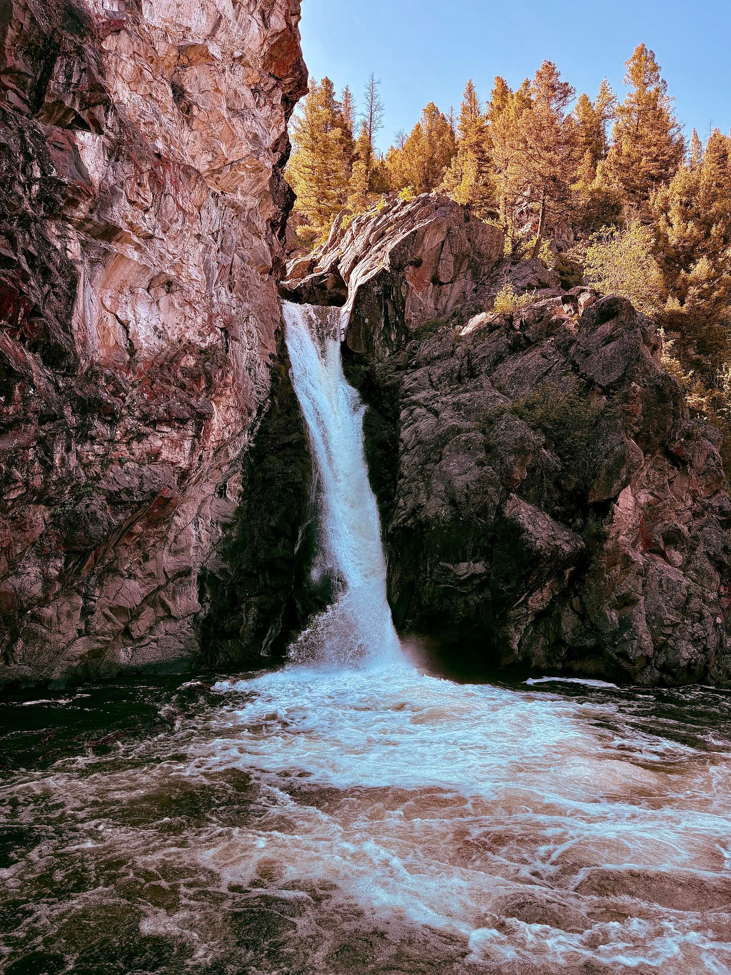 A powerful waterfall cascades through a rocky canyon surrounded by tall pine trees under a clear blue sky.