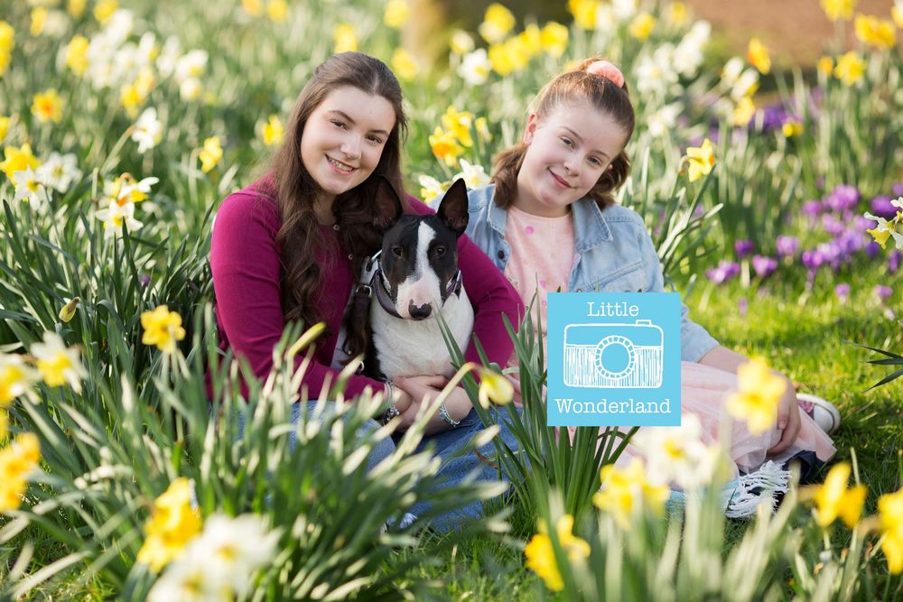 Dog portrait by little wonderland photography widnes cheshire near warrington, runcorn, St Helens, Liverpool, Cheshire