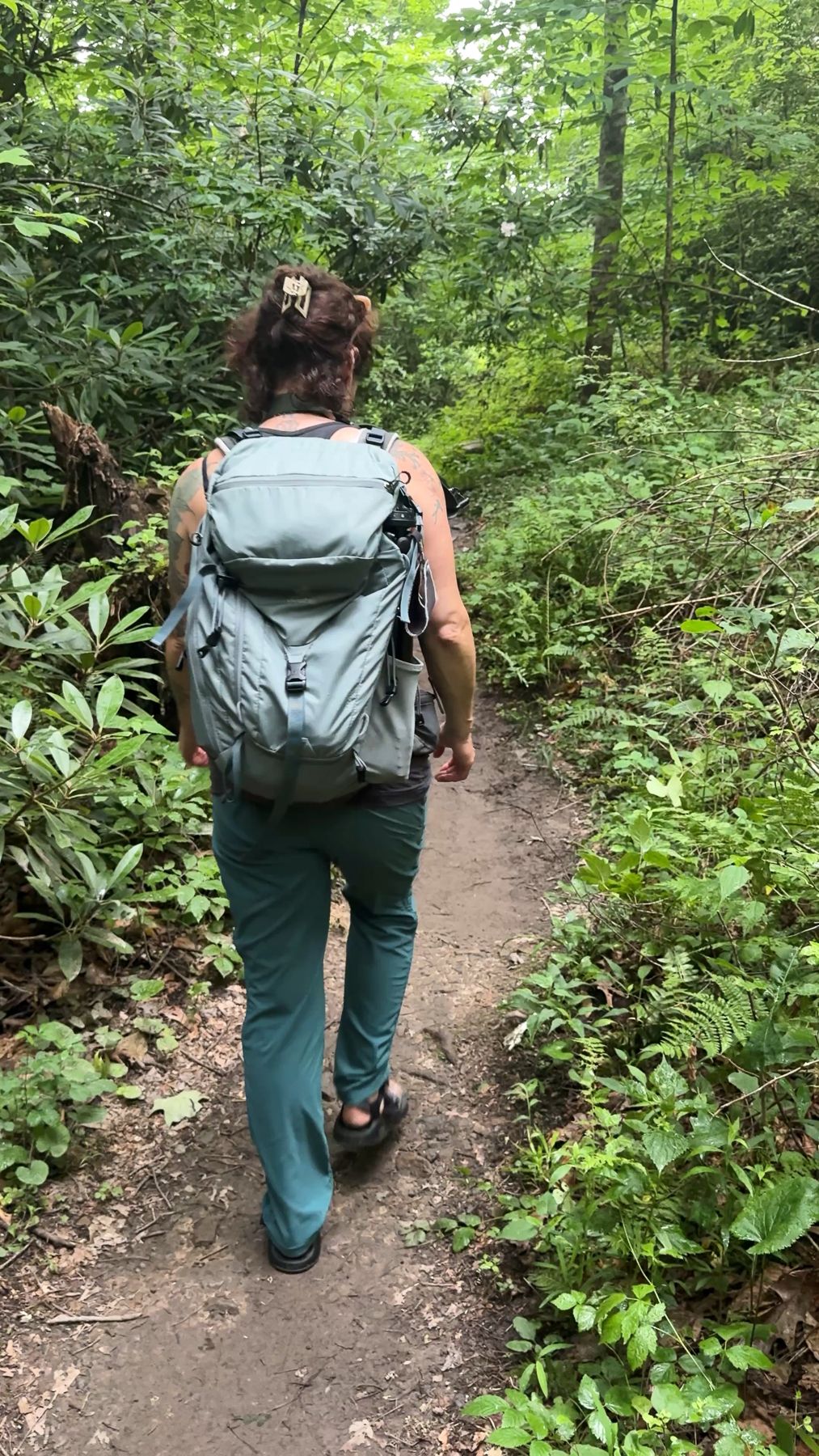 A hiker with a gray backpack walks along a lush forest trail wearing teal pants and sandals.