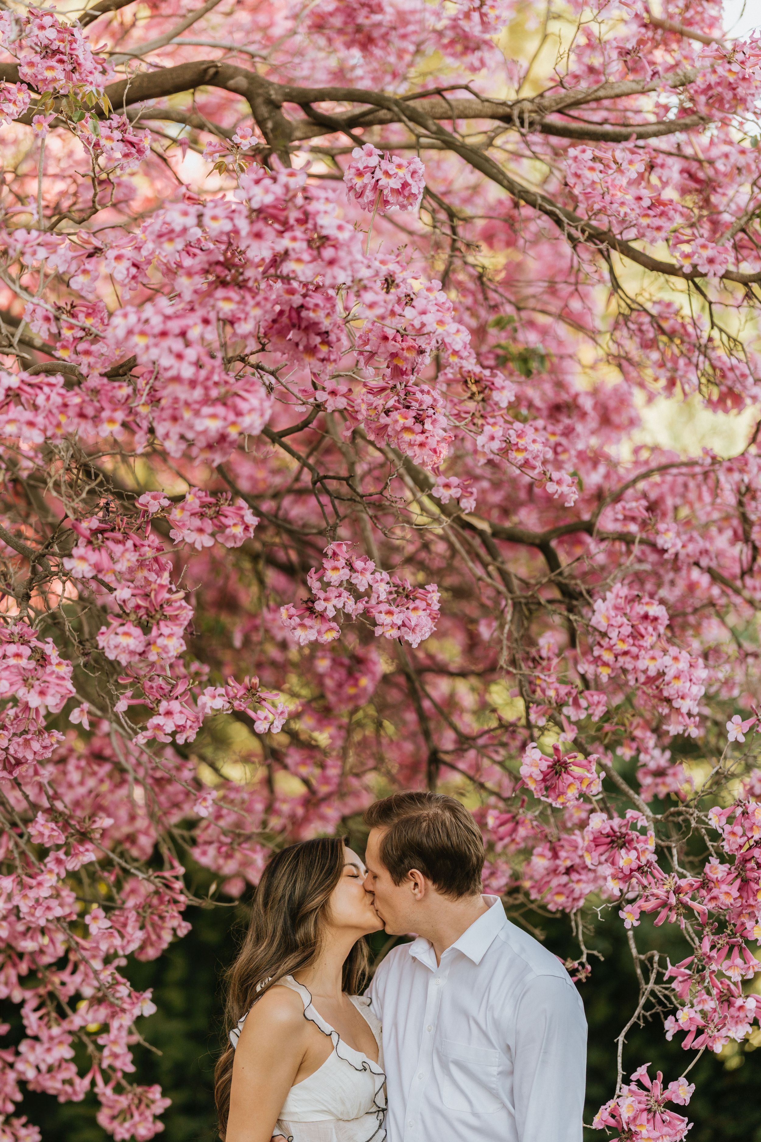 Mariel and Jeff sharing a kiss beneath blooming pink cherry blossoms.
