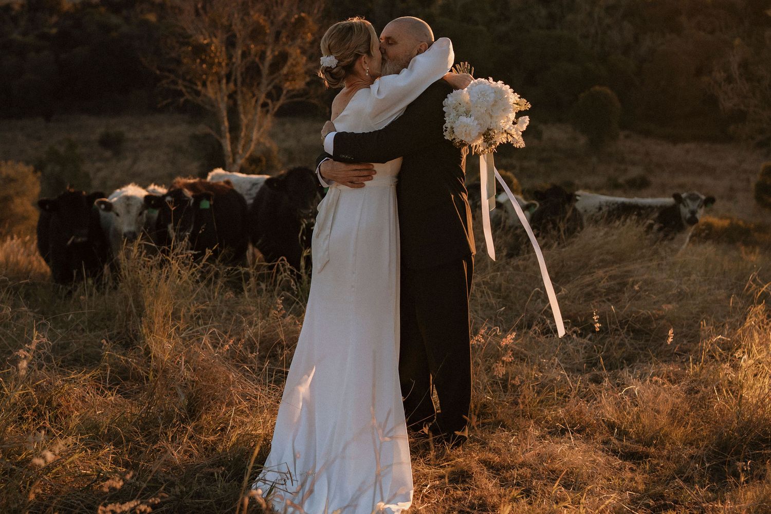 Bride and groom embracing in golden sunset light in a field with cattle in the background holding a white bouquet.