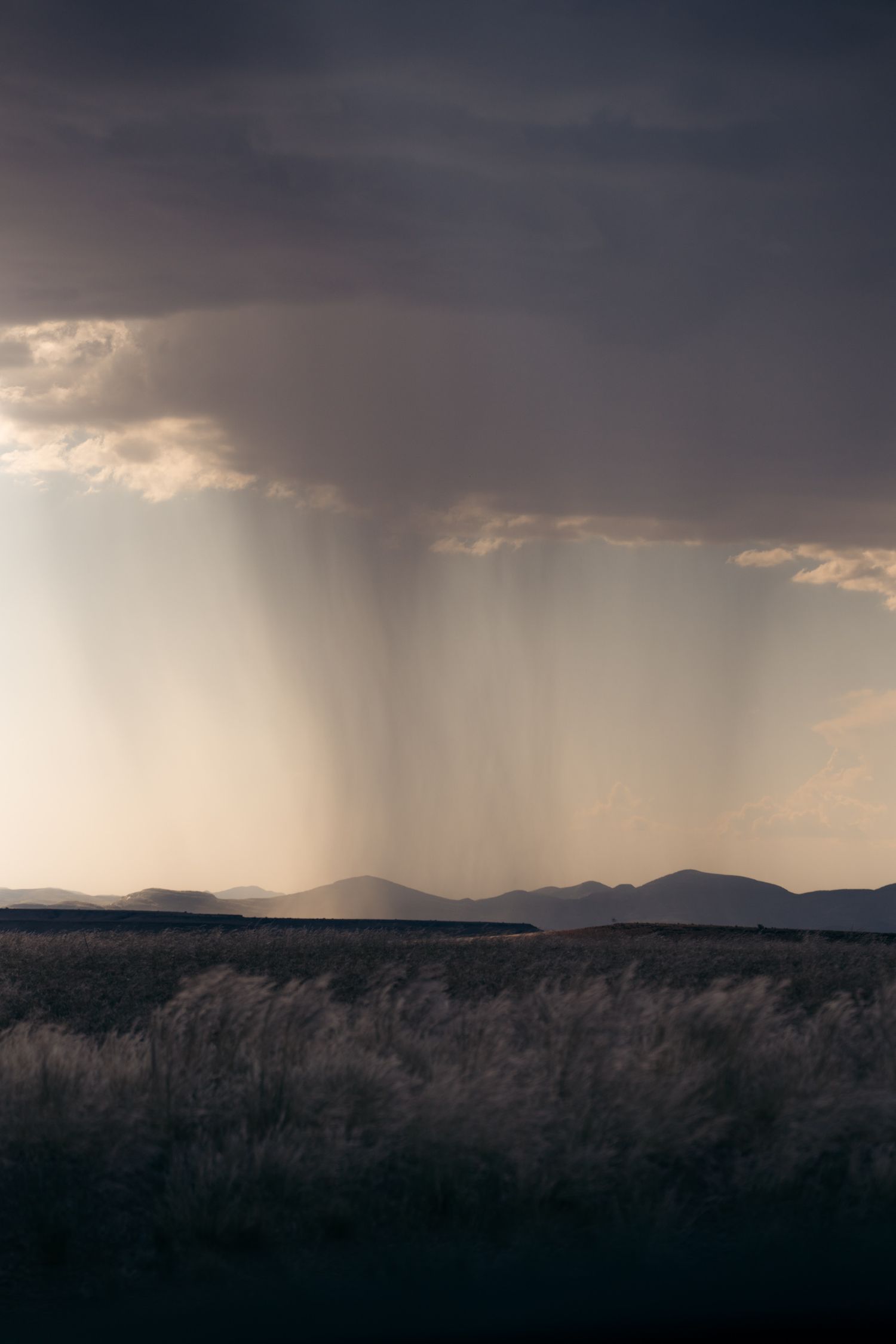 nuage de pluie sur la brousse namibienne
