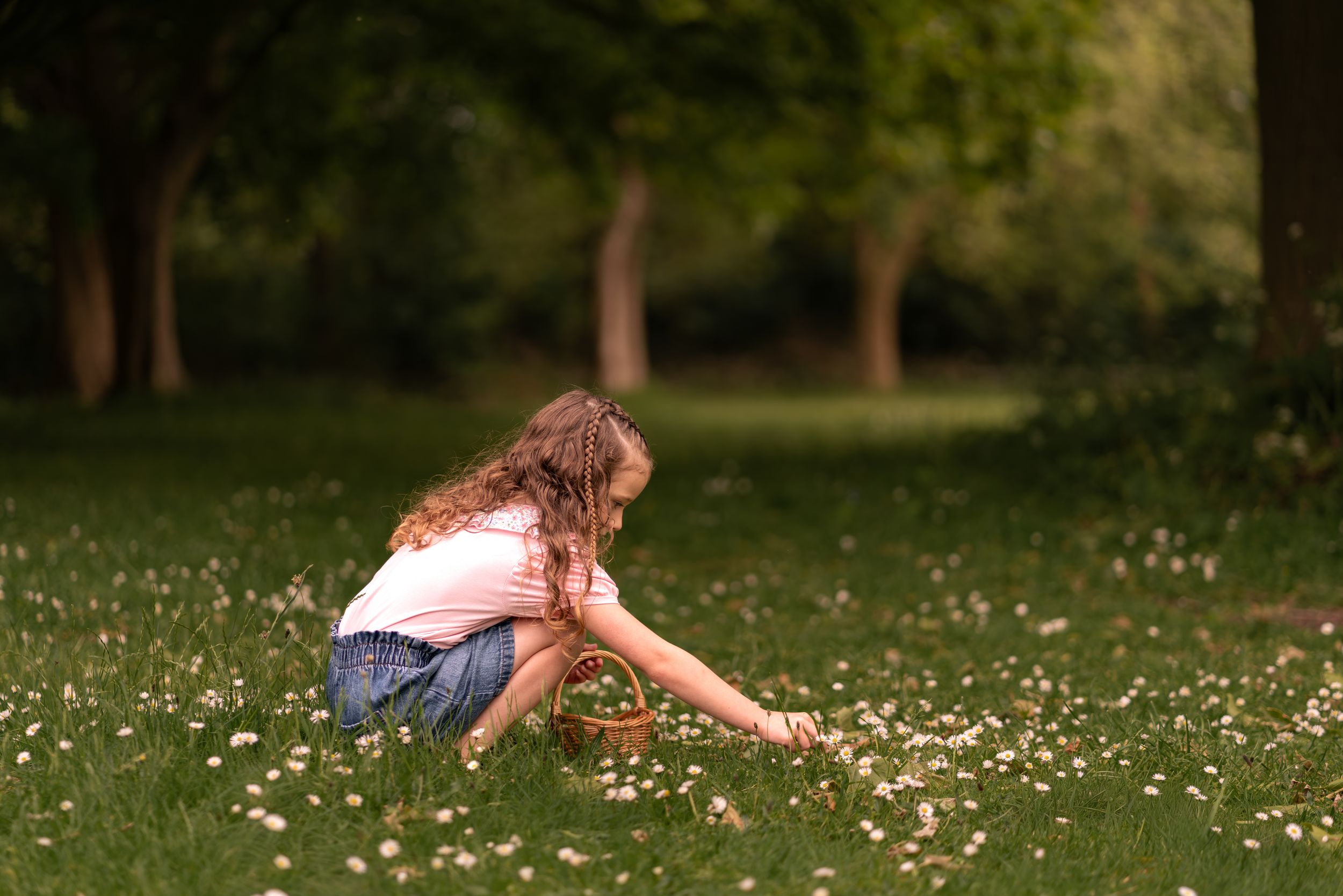 Young girl picking dandelions in a lush green park, crouching in grass with a basket on a sunny day.