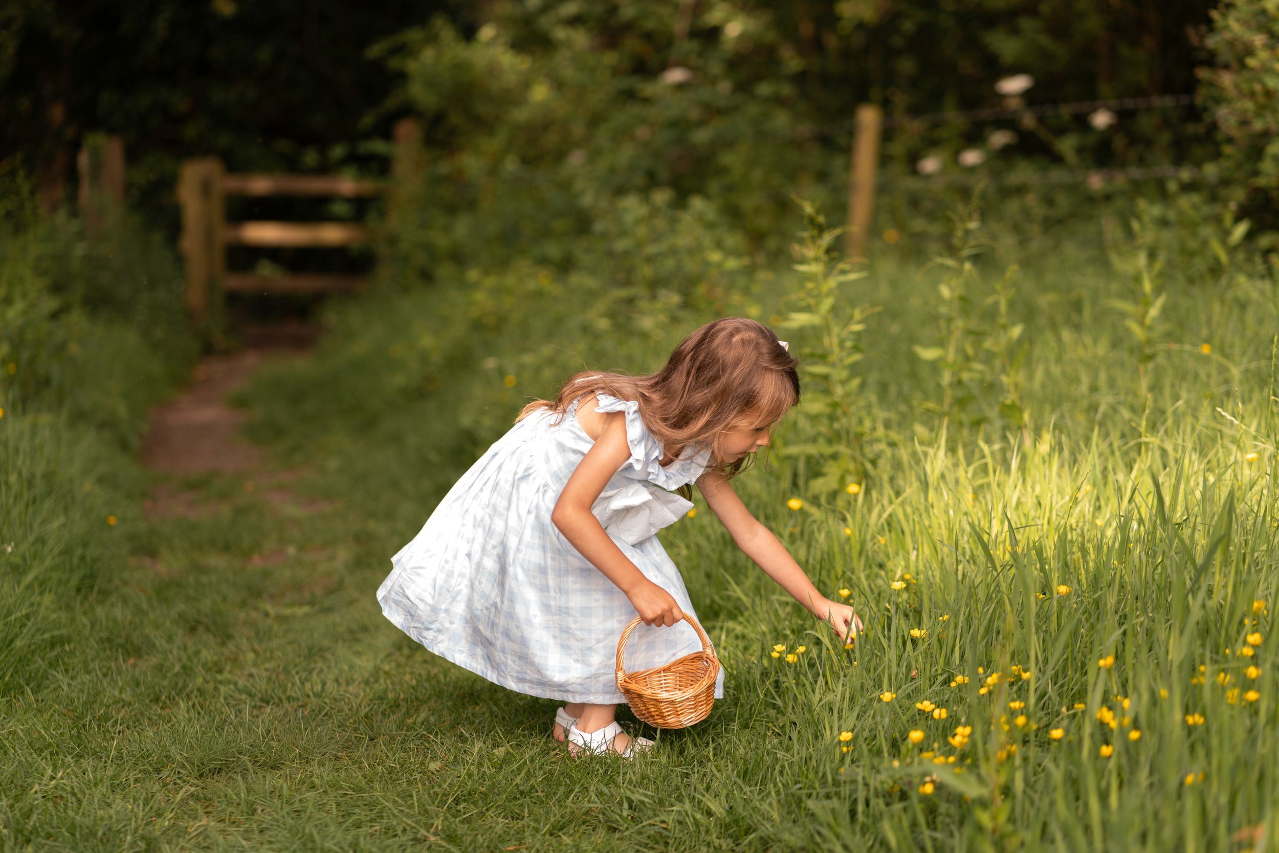 Little girl in white dress picking yellow wildflowers in a lush green meadow with wicker basket.