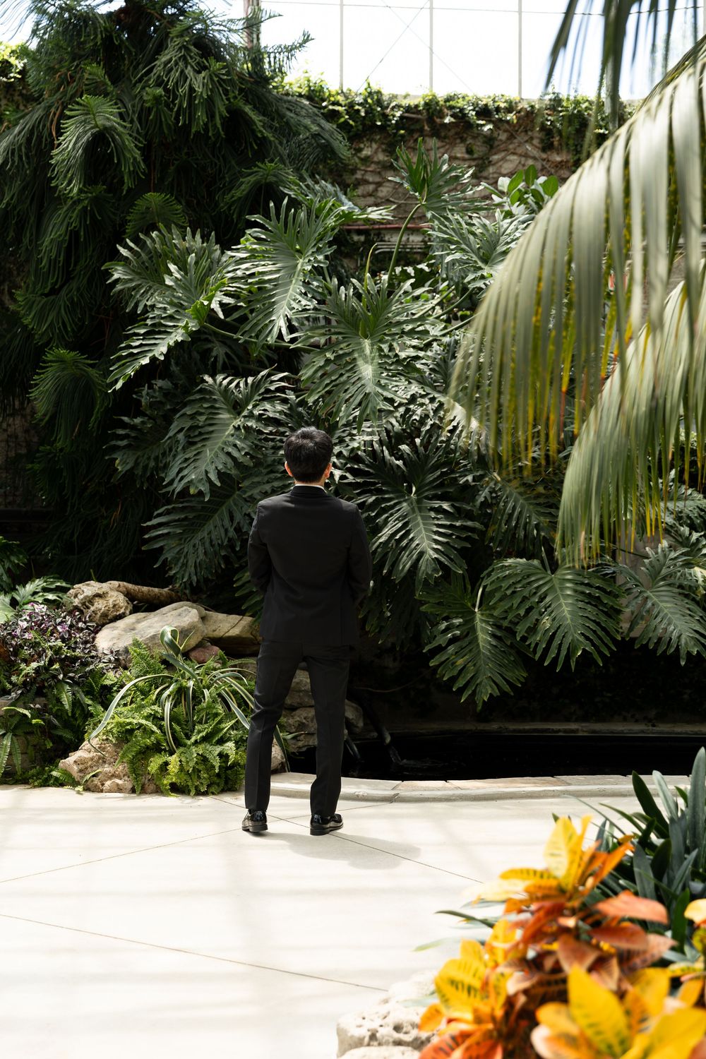 Groom standing surrounded by greenery waiting for bride in the conservatory at the civic garden complex in london, ontario.