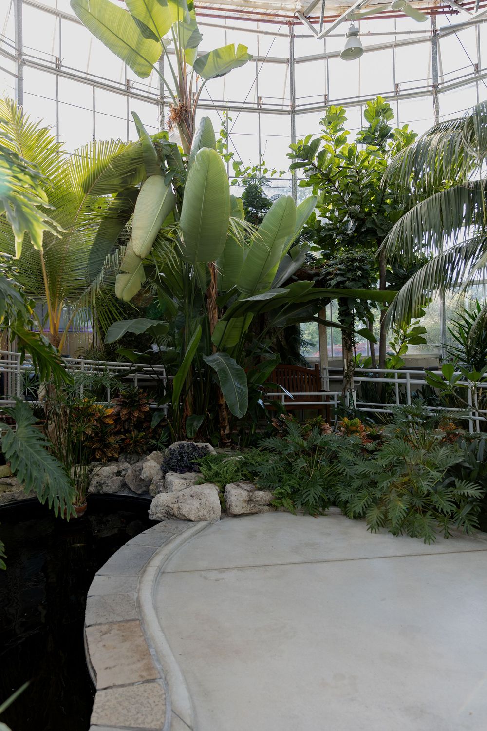 Lush tropical greenhouse interior of the conservatory at civic garden complex in london, ontario.