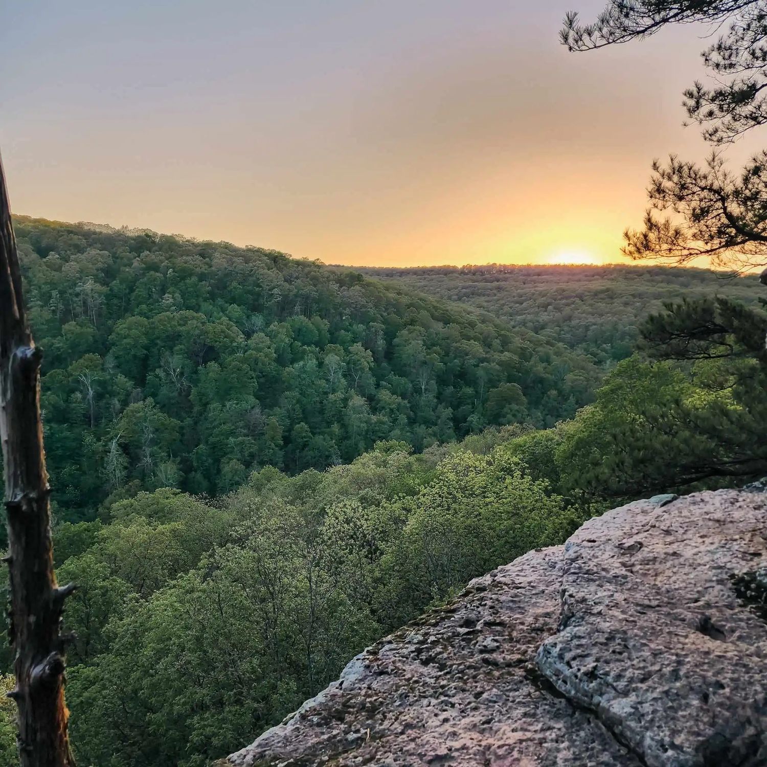 whittaker point