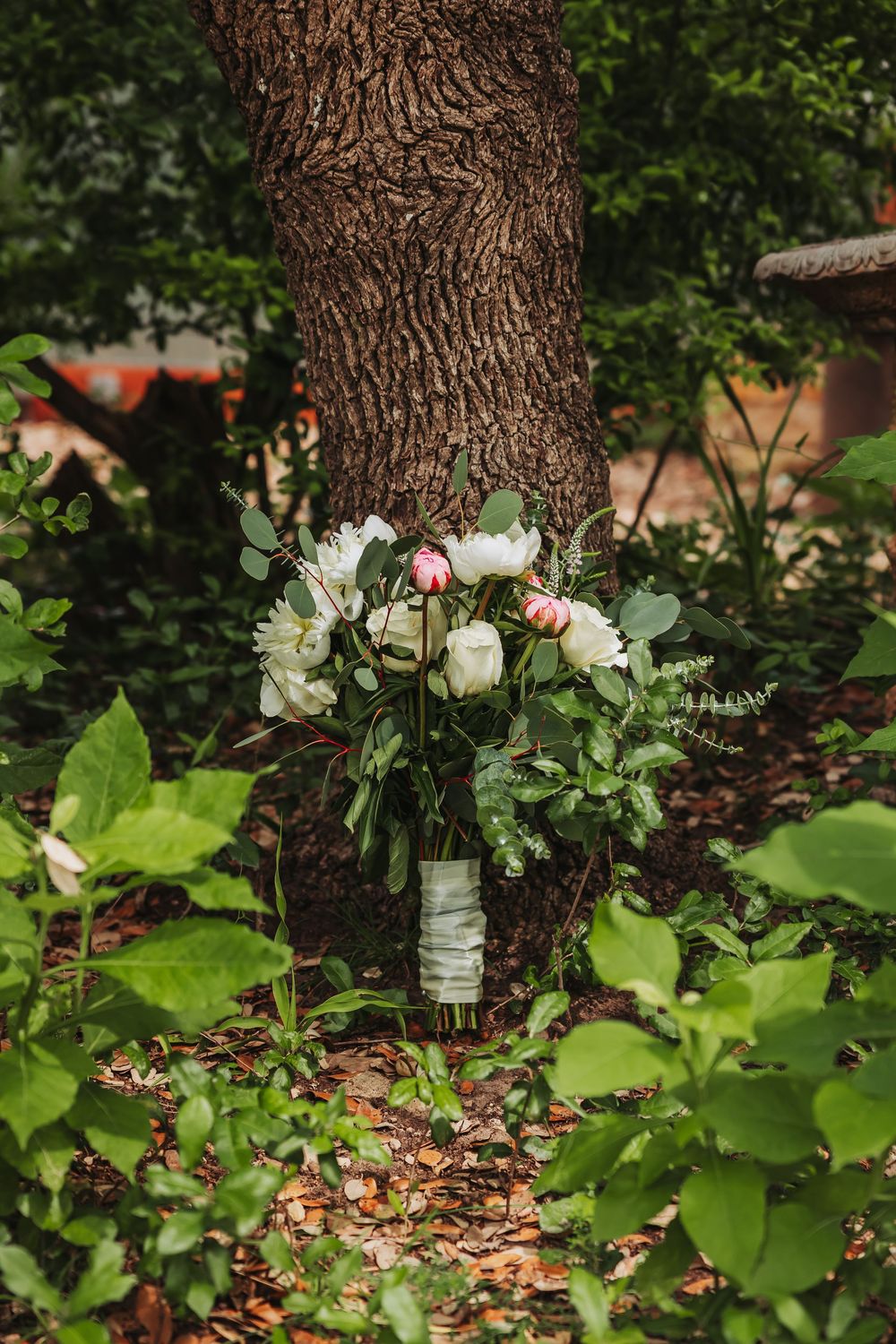 Elegant wedding bouquet of white and pink peonies leaning against a tree trunk.