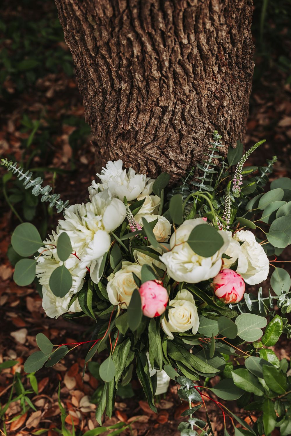 A beautiful bridal bouquet of white peonies, pink roses, and eucalyptus rests against a tree trunk on fallen leaves.