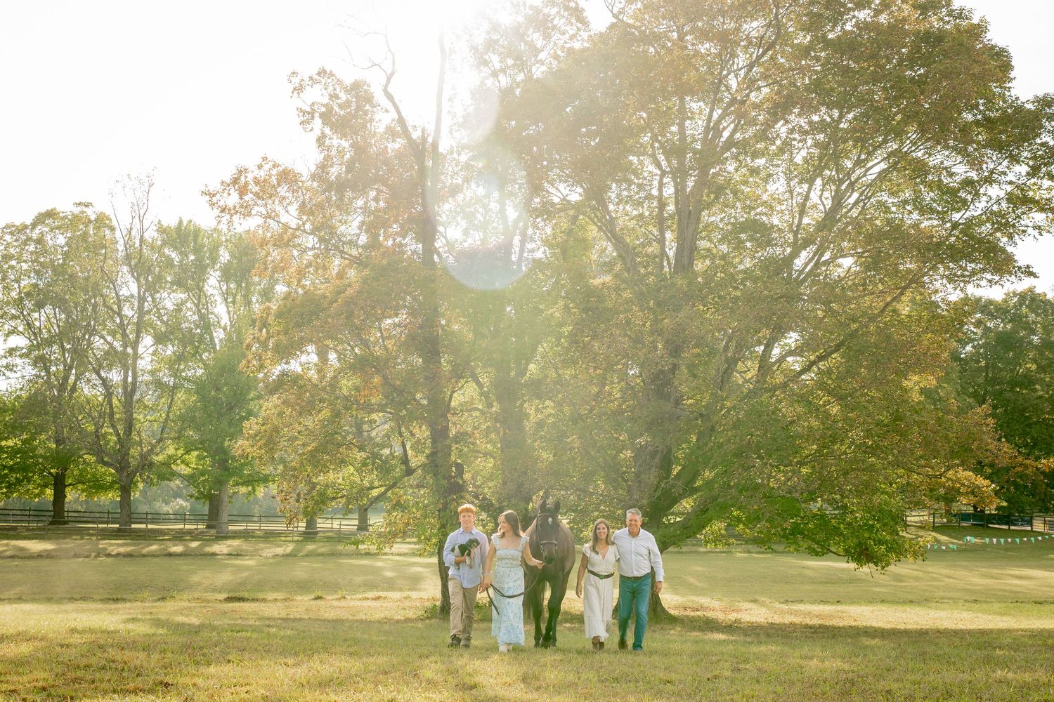 Couple with a horse standing under a large sunlit tree by a wooden fence during a golden hour outdoor photo session.