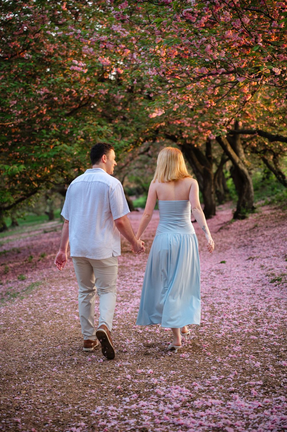 Couple holding hands walking through a cherry blossom tree path covered in pink petals.
