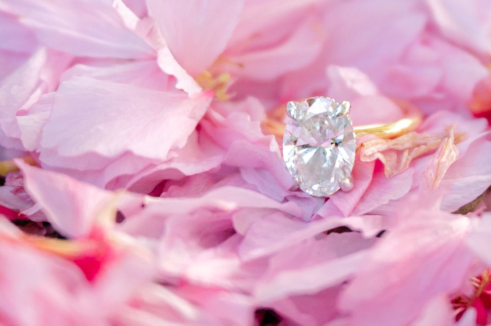 Oval diamond solitaire engagement ring nestled among soft pink cherry blossom petals in a romantic floral setting.