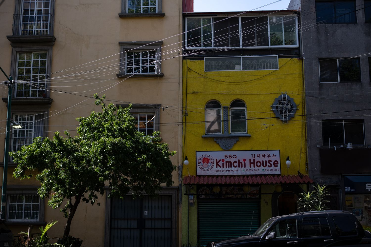 Yellow Kimchi House restaurant building facade in urban neighborhood with parked cars and green tree.