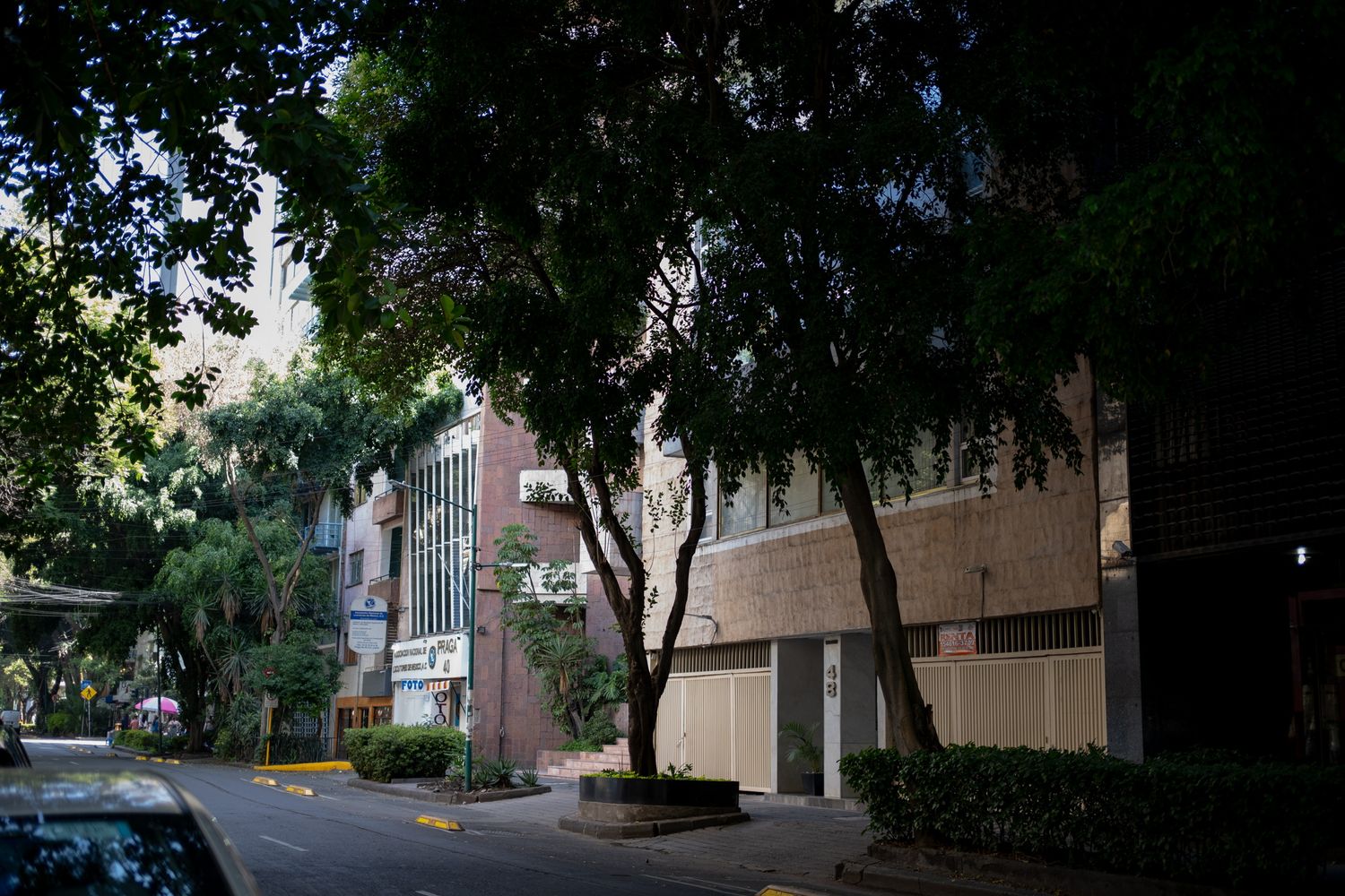 Tree-lined urban street beside a brick building with covered storefronts in a quiet city neighborhood.