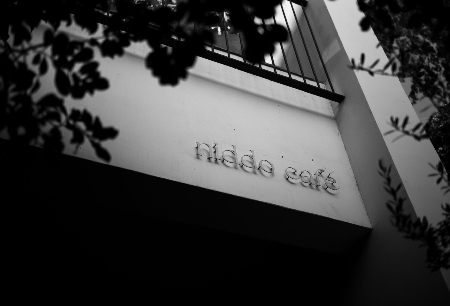 Black and white exterior sign of Niddo Cafe on a modern building facade framed by tree branches.