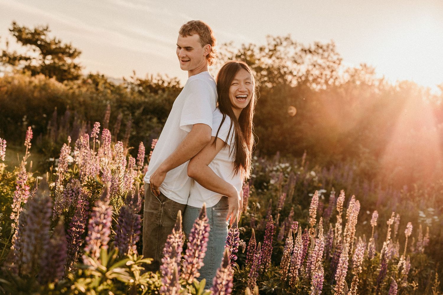 Couple laughing in a sunlit lupine flower field at golden hour, man lifting woman from behind.