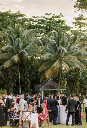 Elegant outdoor tropical wedding reception with guests mingling among palm trees.