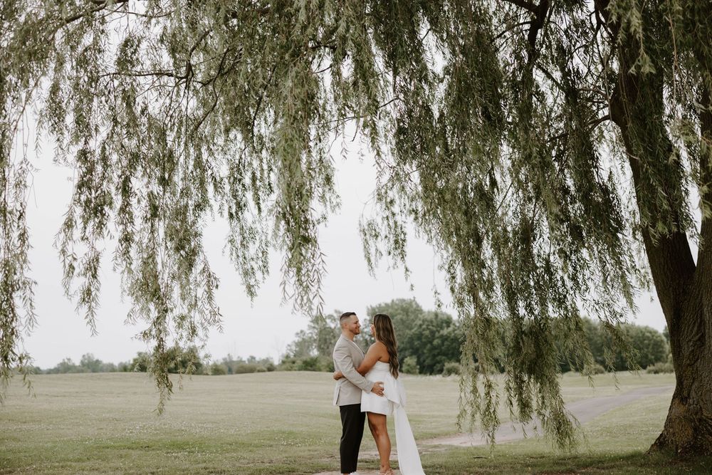 Bride and groom embrace under a weeping willow tree in a lush green field on their wedding day.